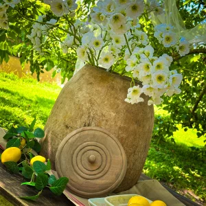 Witte bloesem takken