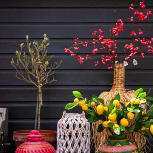 Rotan solar windlicht wit beige