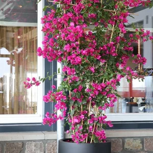 Almstok big black Ø50 x H65 cm