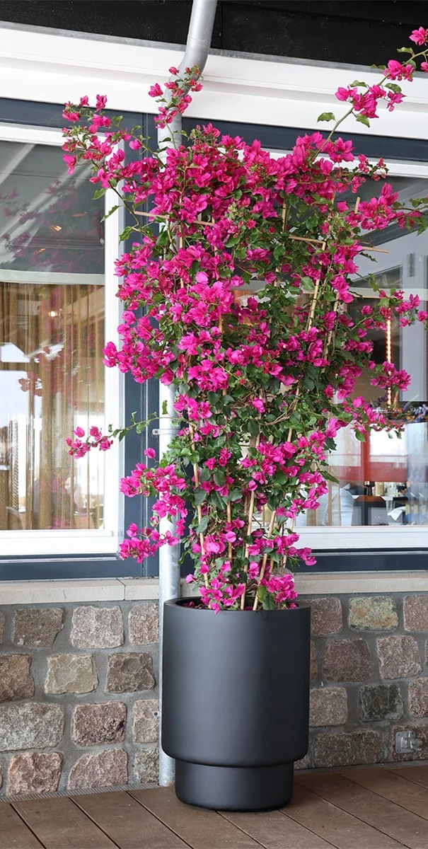 Almstok big black Ø50 x H65 cm - Afbeelding 2