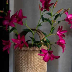 Oude Chinese plukmand