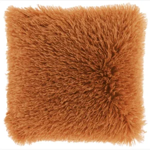 Sierkussen doodle olly