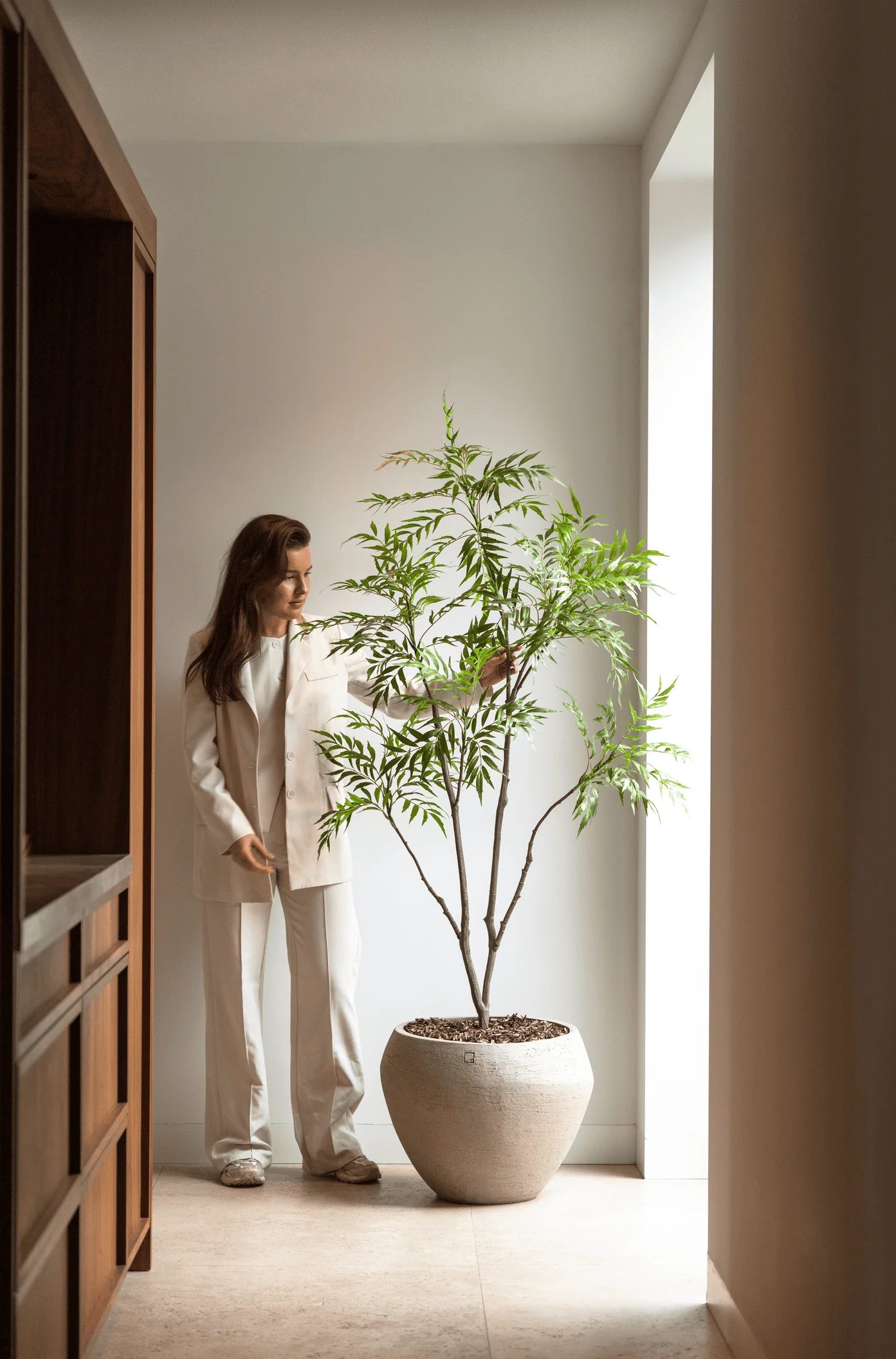 Bamboe boom 180cm - Afbeelding 5