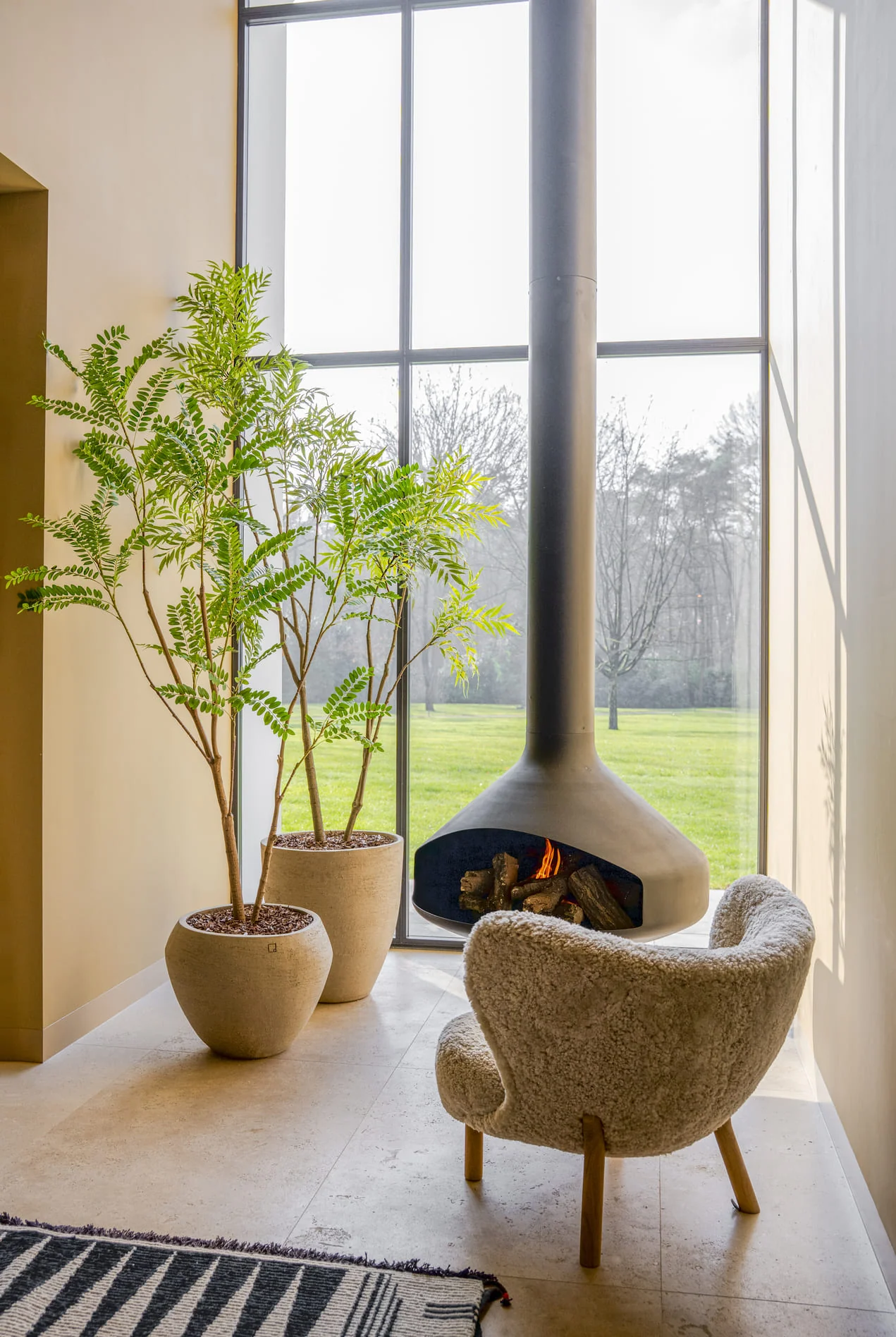 Mimosa boom 210cm - Afbeelding 2