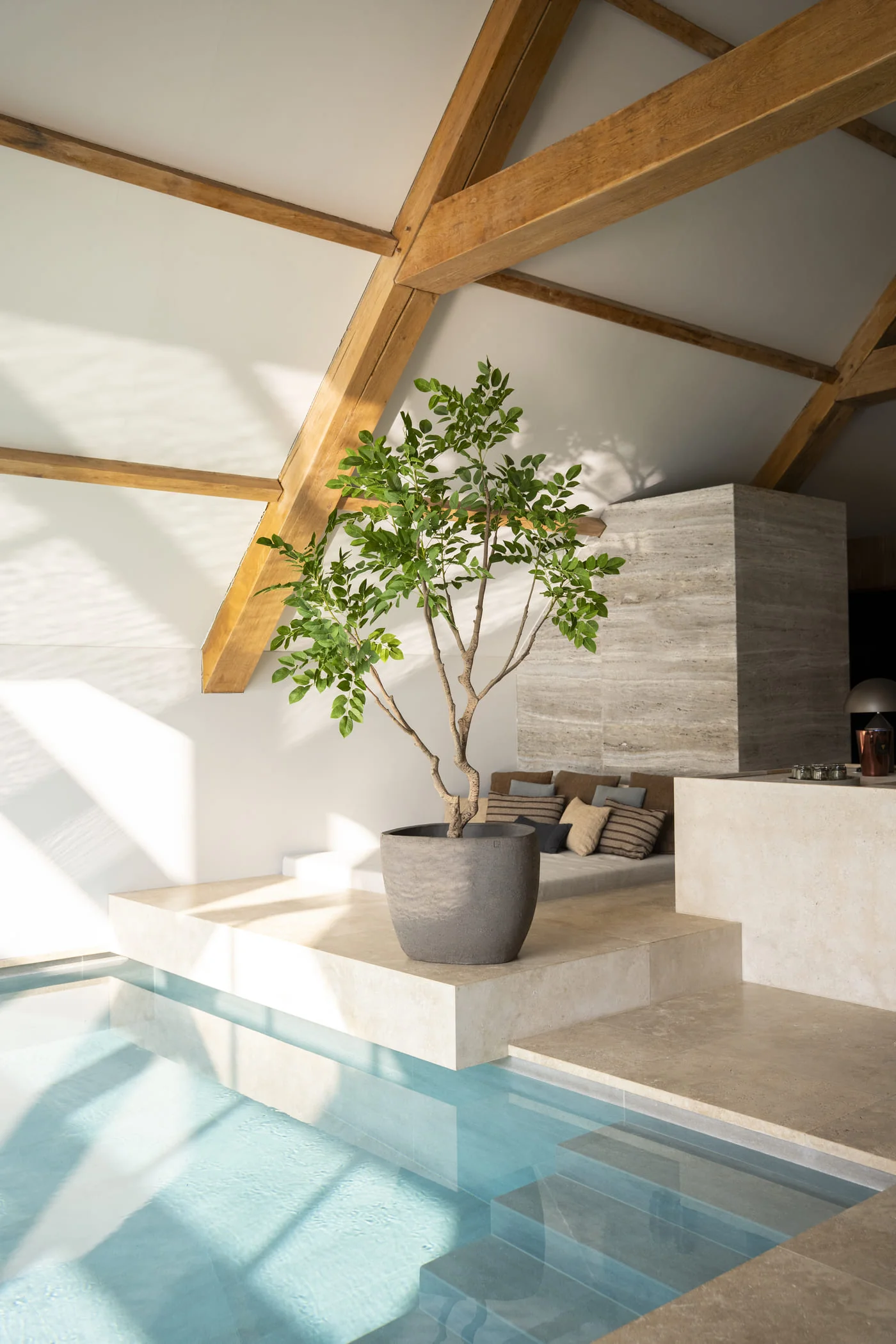 Sandalwood boom 240cm - Afbeelding 2