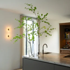 Enkianthus tak 150cm