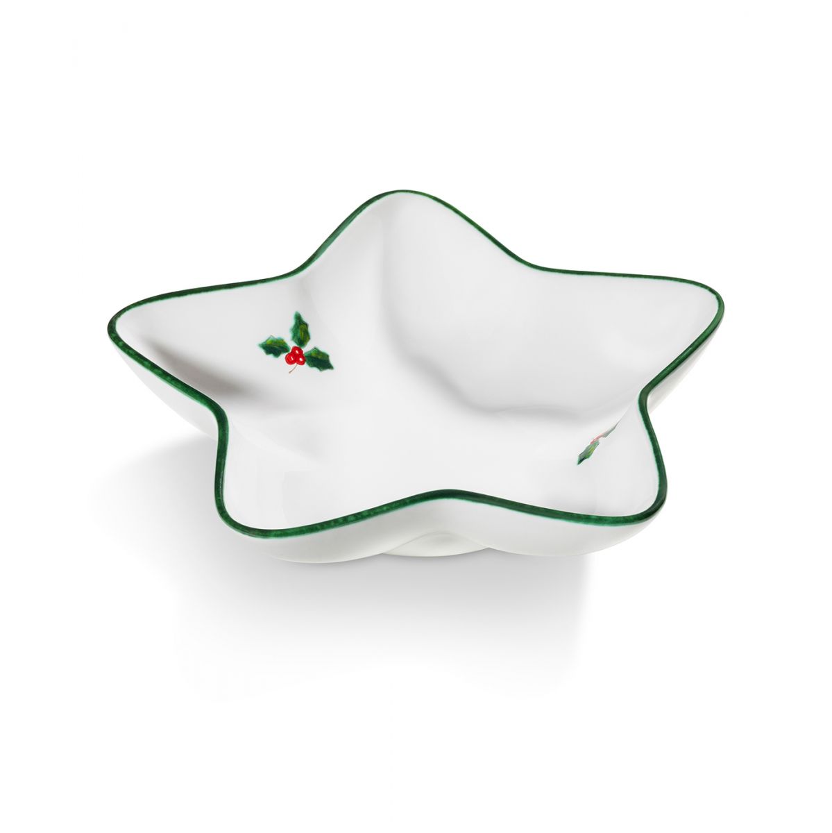 Schaaltje ster – Winterbes groen – 22 cm