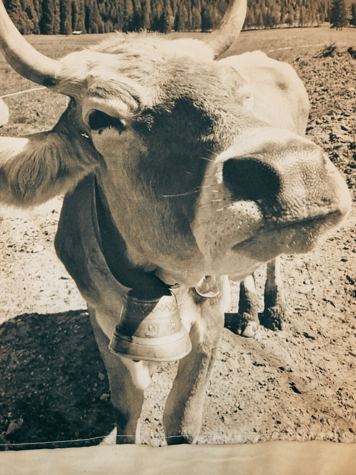 Theedoek met koe - Afbeelding 2