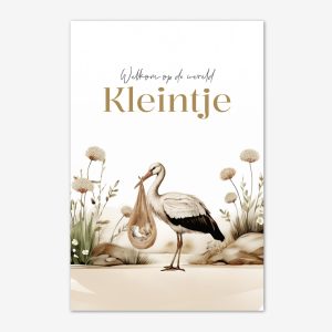 Felicitatiekaart Geboorte | Ooievaar