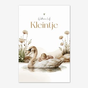 Felicitatiekaart Geboorte | Zwaan