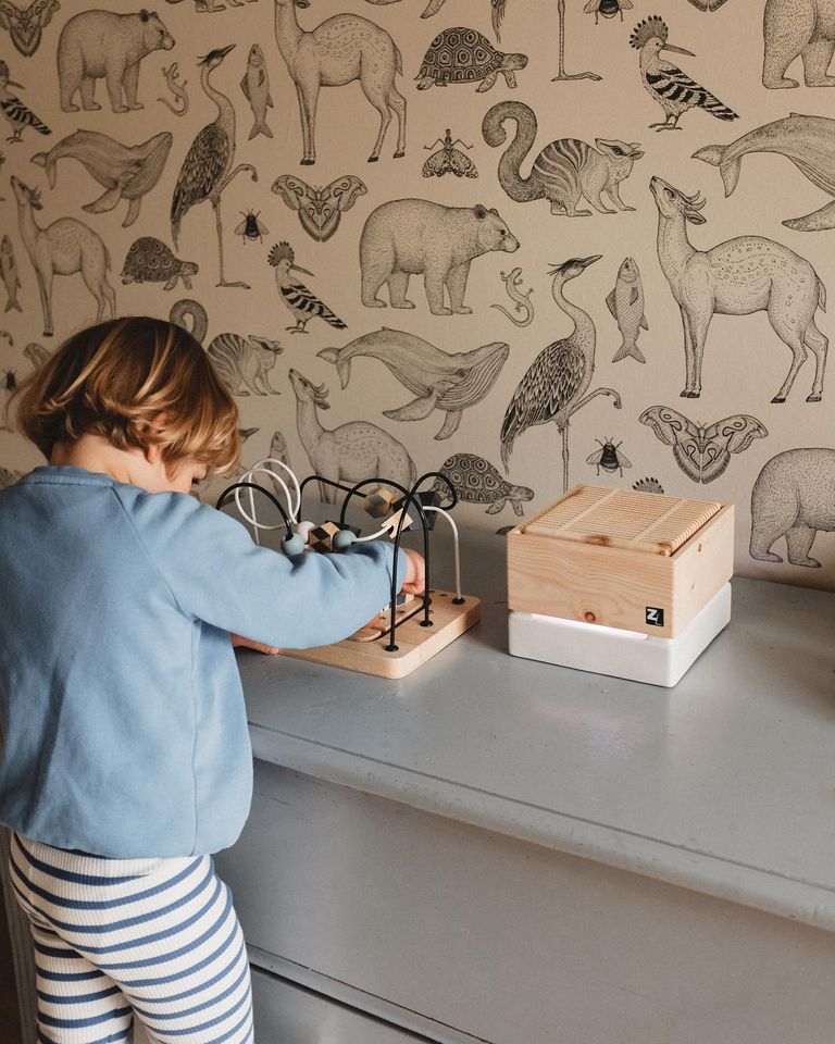 Zirbenlüfter® natuurlijke luchtreiniger mini - Afbeelding 6