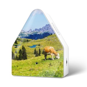 Heidibox Alpen