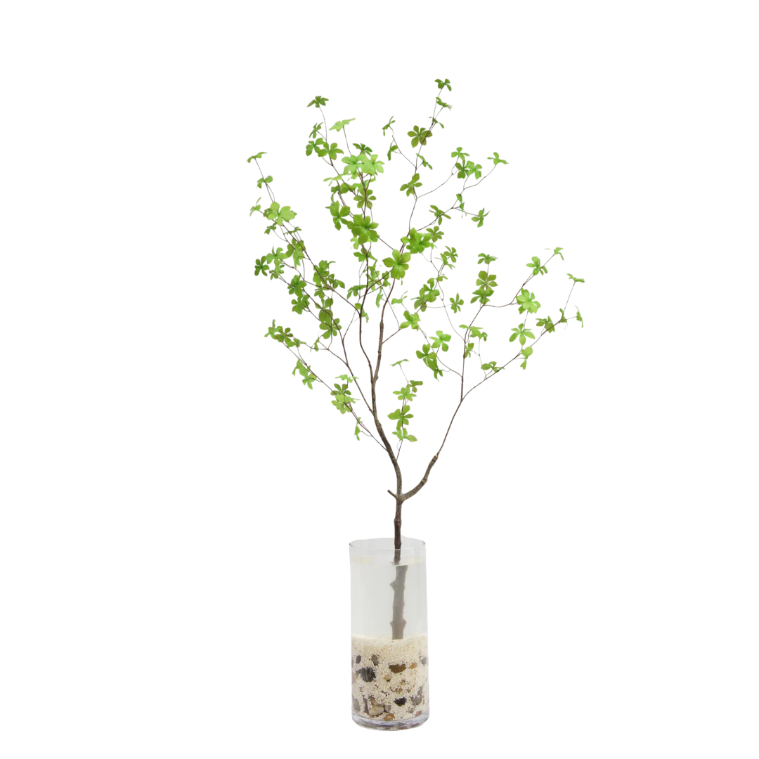 Enkianthus tak 150cm - Afbeelding 3