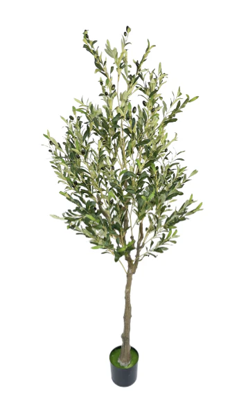 Kunst Olijfboom - Afbeelding 3