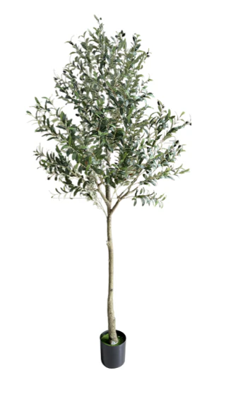 Kunst Olijfboom - Afbeelding 5