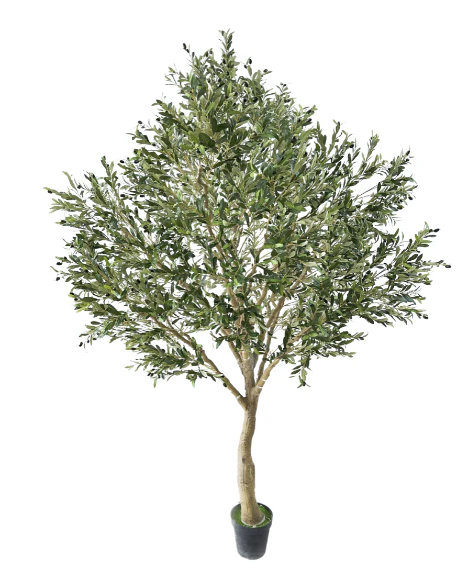 Kunst Olijfboom - Afbeelding 6