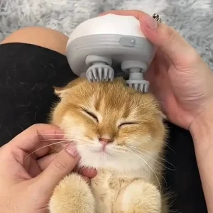 SpinKat™ | De massage die je kat laat spinnen