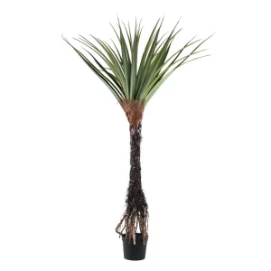 Tree Green Pandanus tree in pot 140x140x210cm PTMD