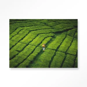 Tote pengalengan - Moderne Wanddecoratie | Artprint, Glass Art & Wandkleed