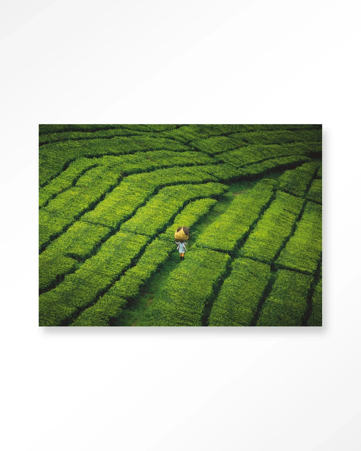 Tote pengalengan - Moderne Wanddecoratie | Artprint, Glass Art & Wandkleed - Afbeelding 2