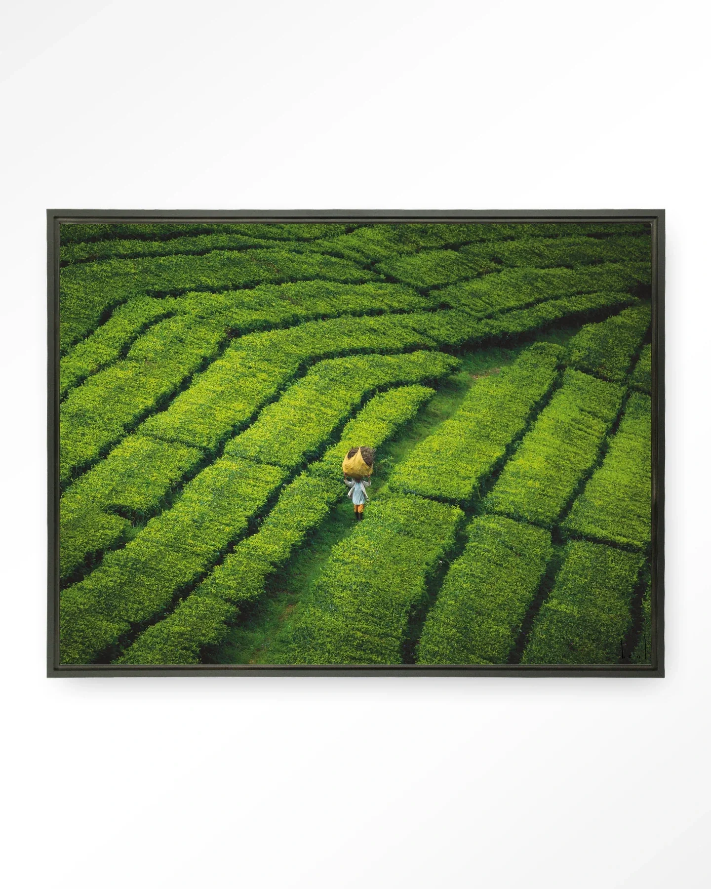 Tote pengalengan - Moderne Wanddecoratie | Artprint, Glass Art & Wandkleed - Afbeelding 5