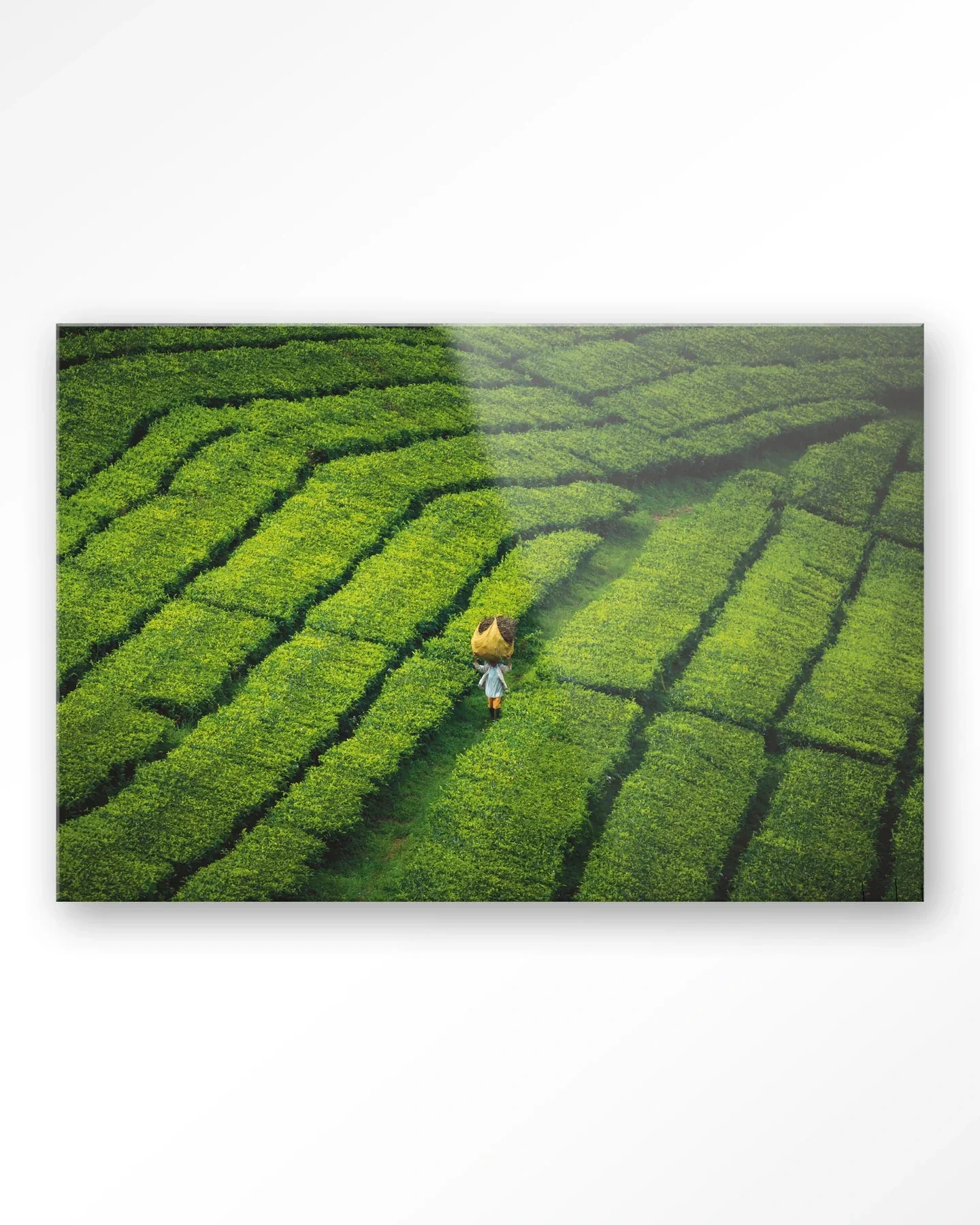 Tote pengalengan - Moderne Wanddecoratie | Artprint, Glass Art & Wandkleed - Afbeelding 4