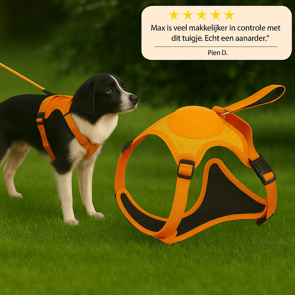 WalkMate™ | Wandel slimmer, wandel vrijer